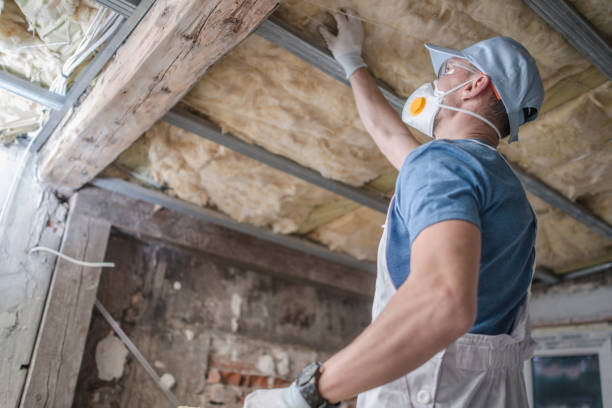 Best DIY Insulation Kits and Guidance in Anaconda, MT